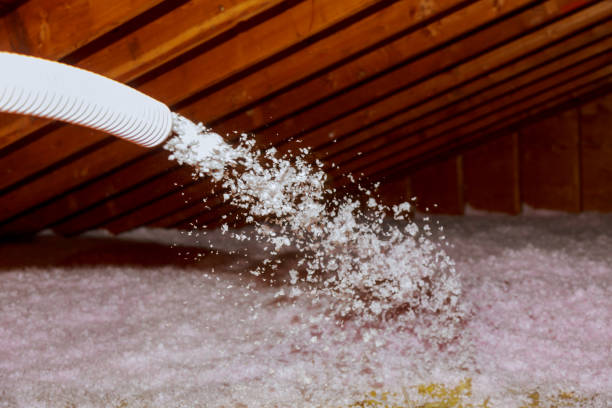 Best Cellulose Insulation  in Meridian, CO