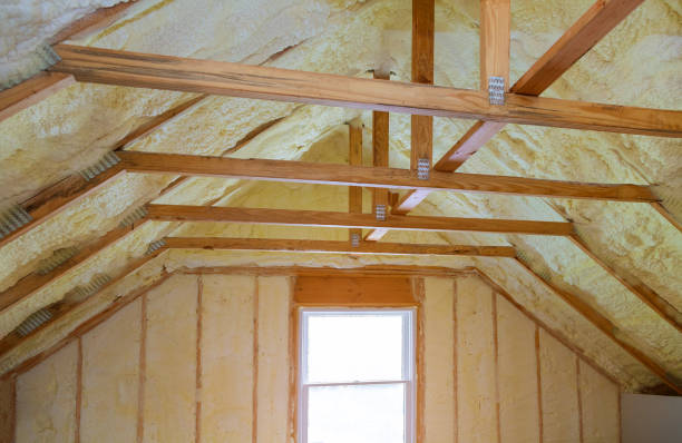 Best Best Insulation Companies  in Meridian, CO