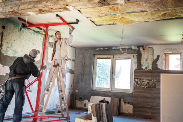 Best Wall Insulation Contractor  in Meridian, CO