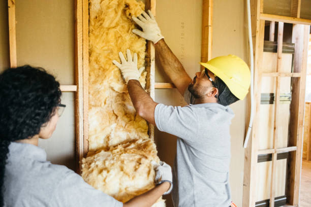 Insulation Inspection Services in Meridian, CO